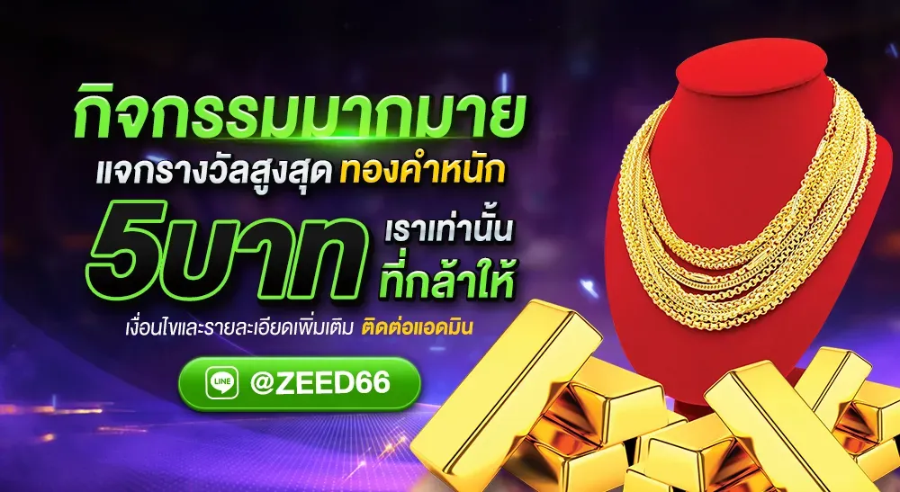 ZEED66 แจก AI โปรแกรม